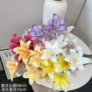 ���滨3�^�����ٺ�3D��ӡС�ٺϻ�c�Y���b����ٻ��Ĕz����