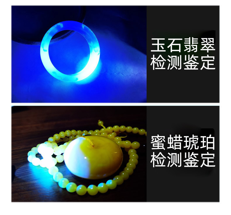 Uv Antique Banknote Detector Lamp Handheld Mini Purple Light Cat Moss Fluorescent Agent Bordeaux Solution Detection Rechargeable Flashlight