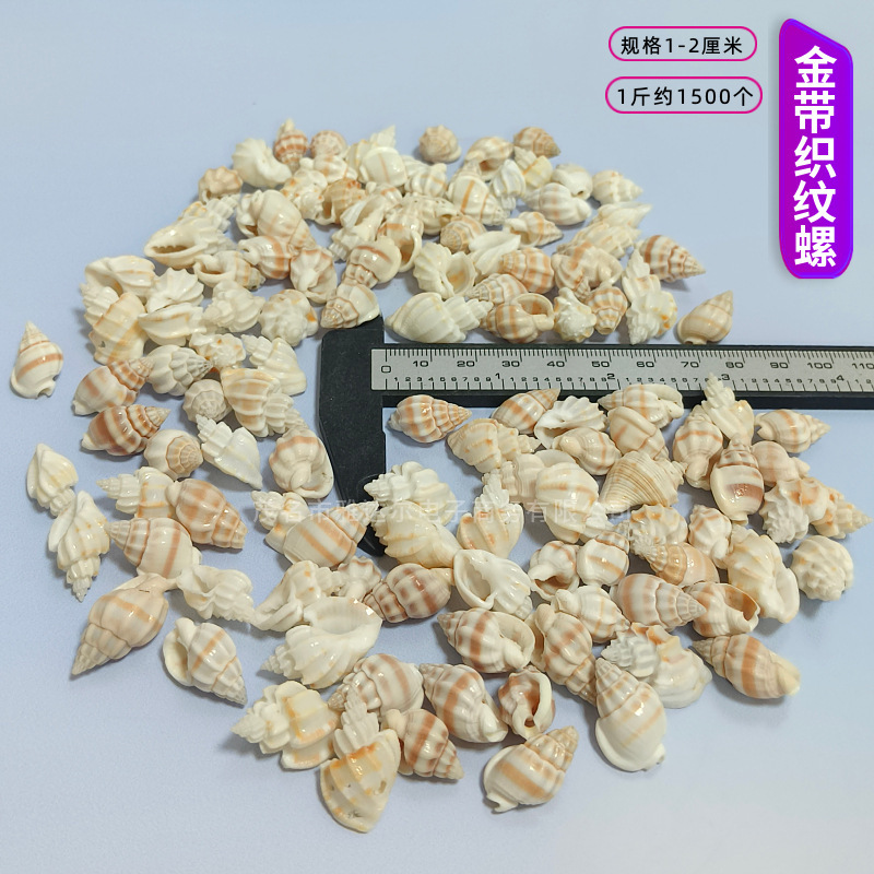 貝殻と法螺貝 1～2cmをポンド単位で販売、貝殻と砂を混ぜて手作りのDIYテーブルを製作、ドリフトボトルを製作|undefined
