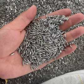 厂家批发 不锈钢钉子生产厂  满减优惠 双尖钉