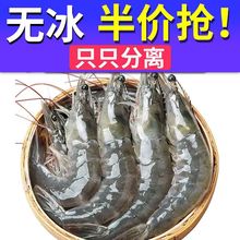 青岛大虾盐冻虾无冰4斤一箱特大虾鲜活新鲜冷冻批发一件代发混批