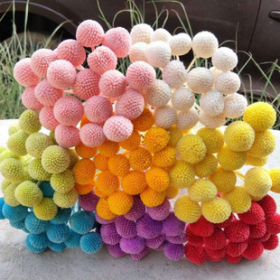 �����S��������������DIY���ϻ����Ĕz���߼Ҿ��b��S����������