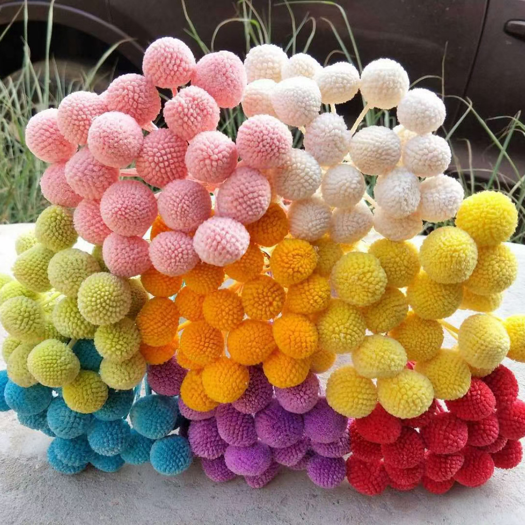Bouquet DIY Materials Floral Props Home Decoration Gold Ball Eternal Flower_voghion.com