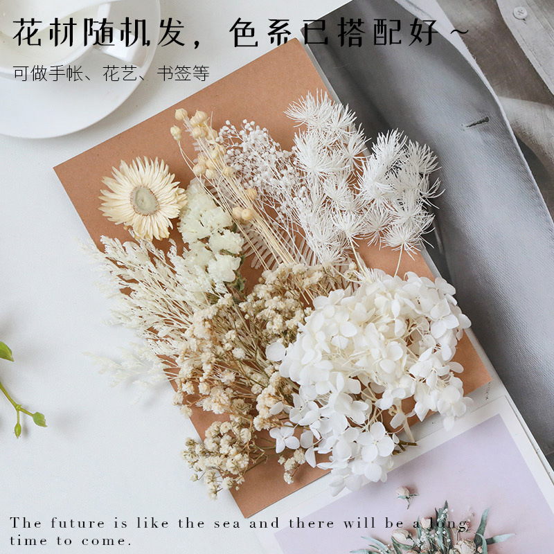 Flor seca flor eterna marco de fotos en relieve paquete de material flotante hecho a mano aromaterapia ventilador redondo actividad salón grupo edificio transfronterizo al por mayor