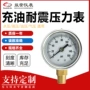 径向耐震耐腐蚀精密压力表