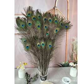 现货供应25-130cm天然孔雀毛翎尾 孔雀羽毛 婚庆DIY羽毛批发