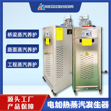 24kw36kw電加熱蒸汽發生器 全自動橋梁養護蒸汽機 食品蒸煮電熱鍋