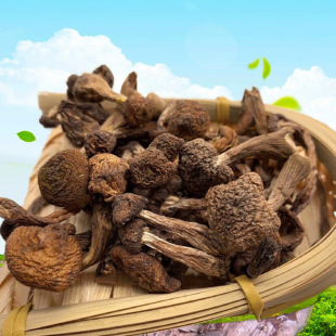 �Ģᔖ|���aҰ���Ģ����؛ С�u��Ģ���������o��