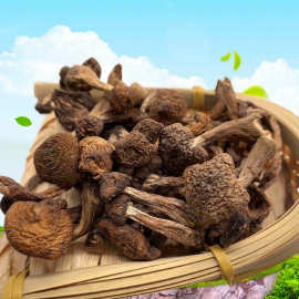 榛蘑钉东北产野生榛蘑丁干货 小鸡炖蘑菇黑龙江无根