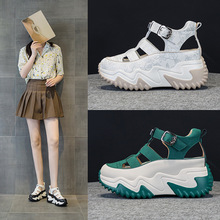 ������7CM�ϵ�ЬŮ 2026�ٴ��n�����U���ճ����e�L