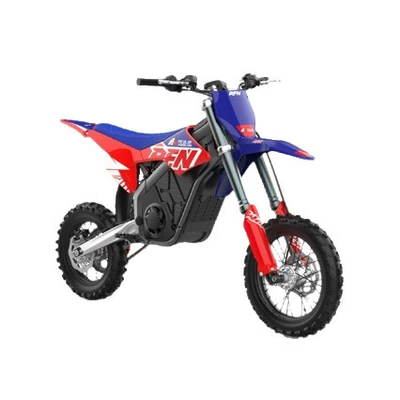 electric bike, Elektrikli motosikletlər