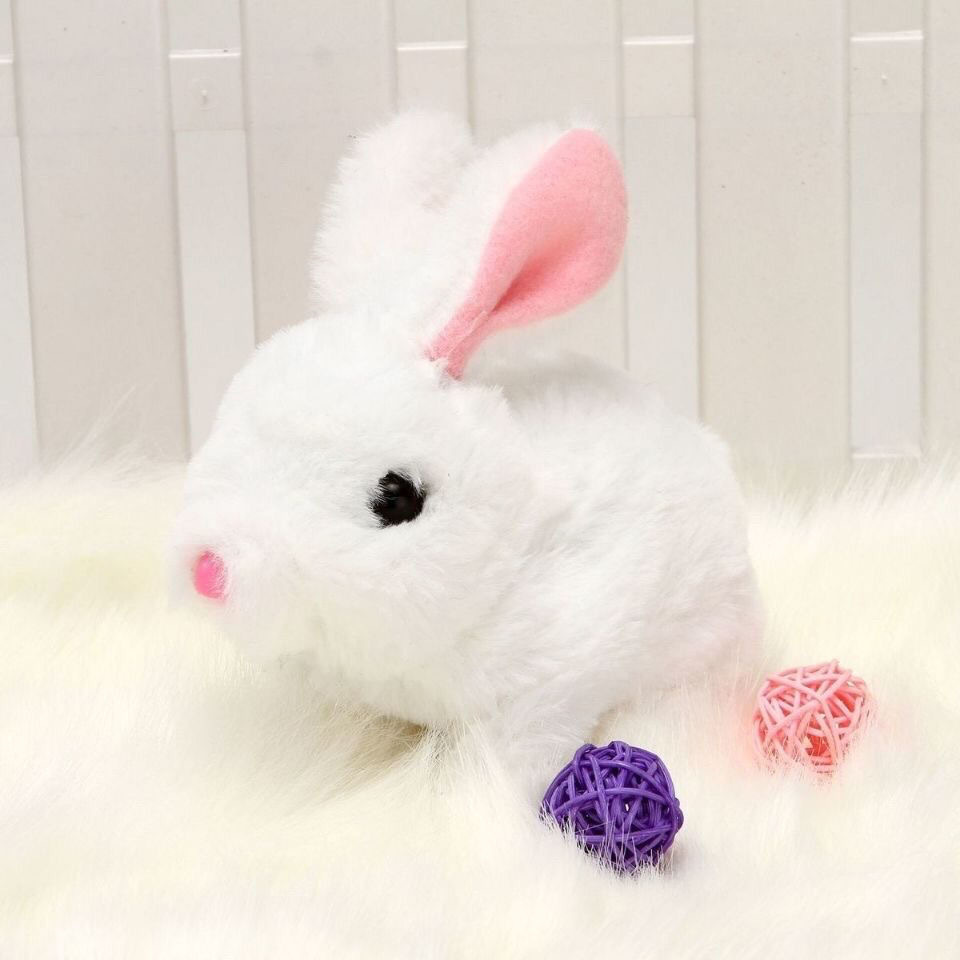 White angora rabbit