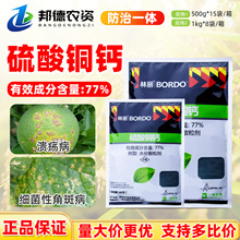 һ������ 77%�����~�}���θ��٘��S�ϼ����Խǰ߲�ș������