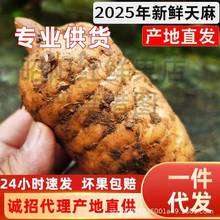 ͨС݉ηҰYЬFڬFlrһl