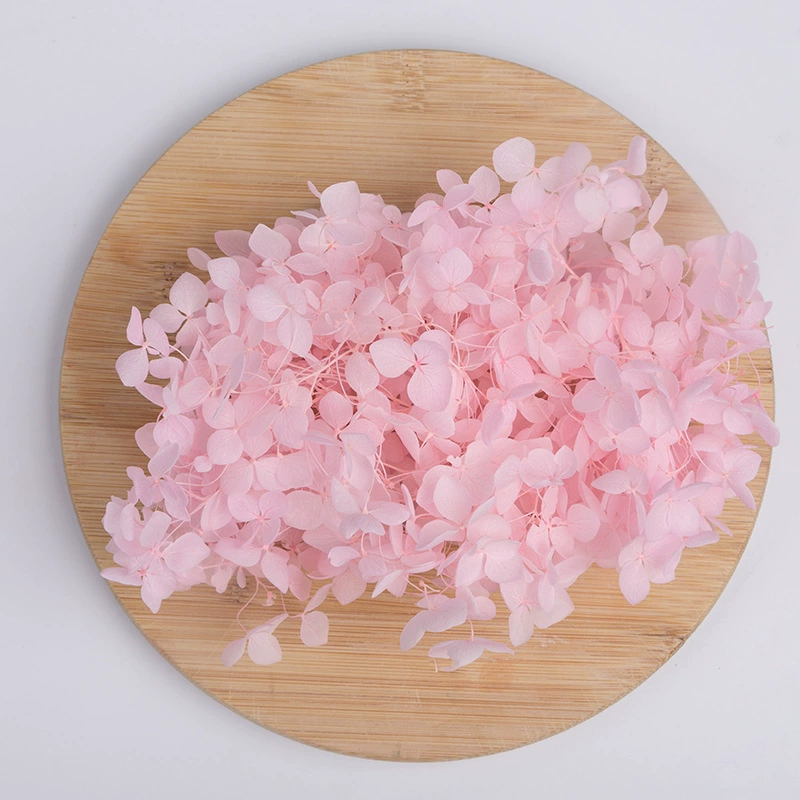 Вечный цветок Сухоцветная коробка Анна Гранди Hydrangea посыпанные лепестки цветов для лица свадьбы оформление Цветочный стиль