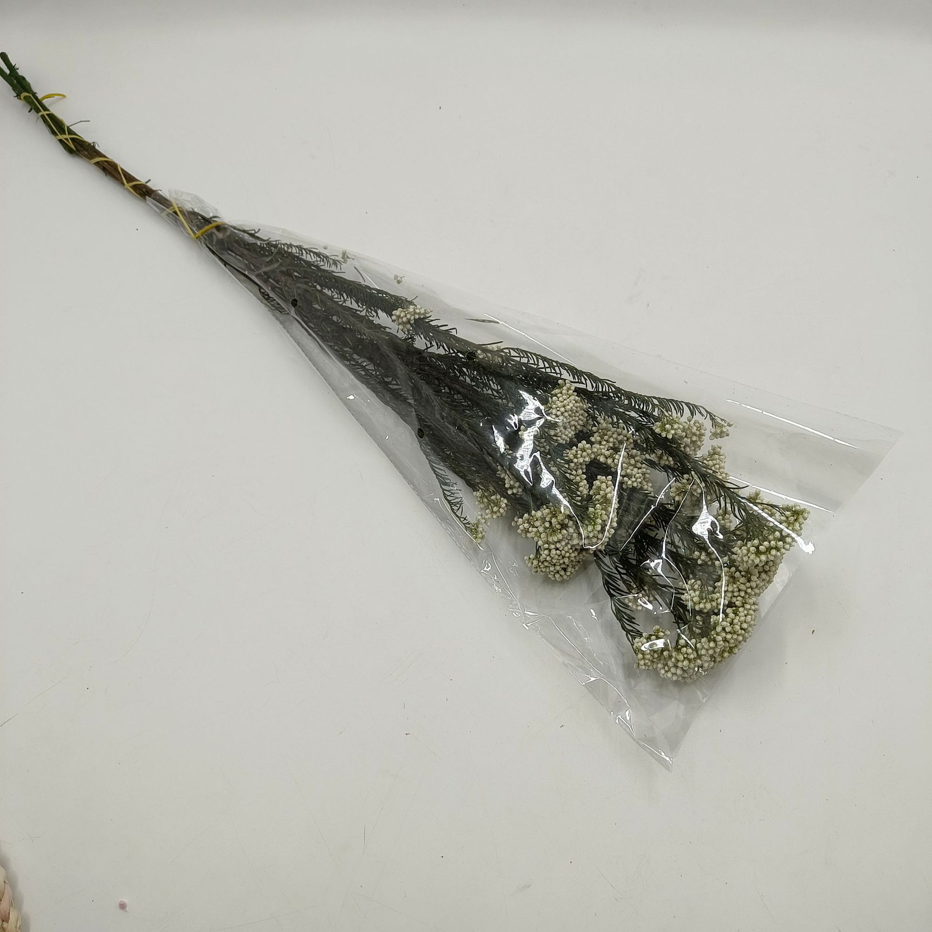 5170d820b103d9a06095ba4ade647a