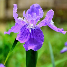 ͥԺ·GرֲmԺm{Sβm