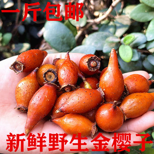 ��ɽ��ժҰ��������ݾ����rɽʯ����ș���ǹ�����������Ӵ����