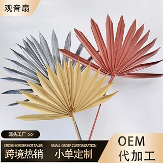 观音扇干花 棕榈叶太阳扇 北欧风花艺插花装饰永生花跨境热卖叶材
