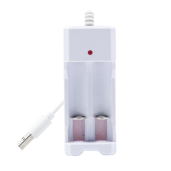 2 -seater charger
