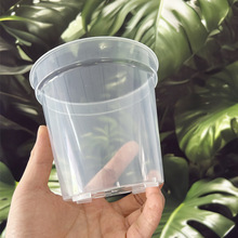 3.5��4������m����ظ�͸���m����ʯ�����ԷNֲ��͸�������m����