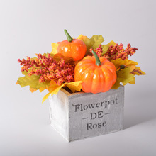 �羳�＾�S�չ��b����Ϲ��辰�ж����Ҿ��b����[���c���Ô[��