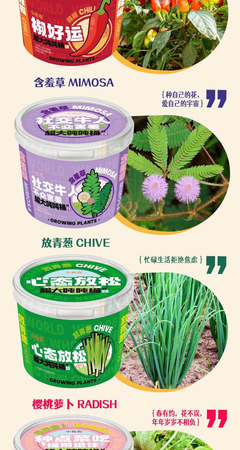 种植吨吨桶转曲_03