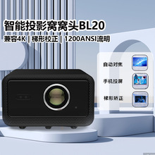 2025�¿�Ƶ��̄�ͶӰ�x�ɼ���4k�������B�֙C����ֱͶ����ͶӰ�C