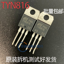 TYN816