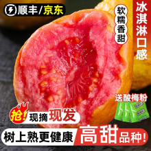 ����S/���|���t�İŘ�ˮ�����r���]����ܛŴ�͘���֬�t��ʯ��