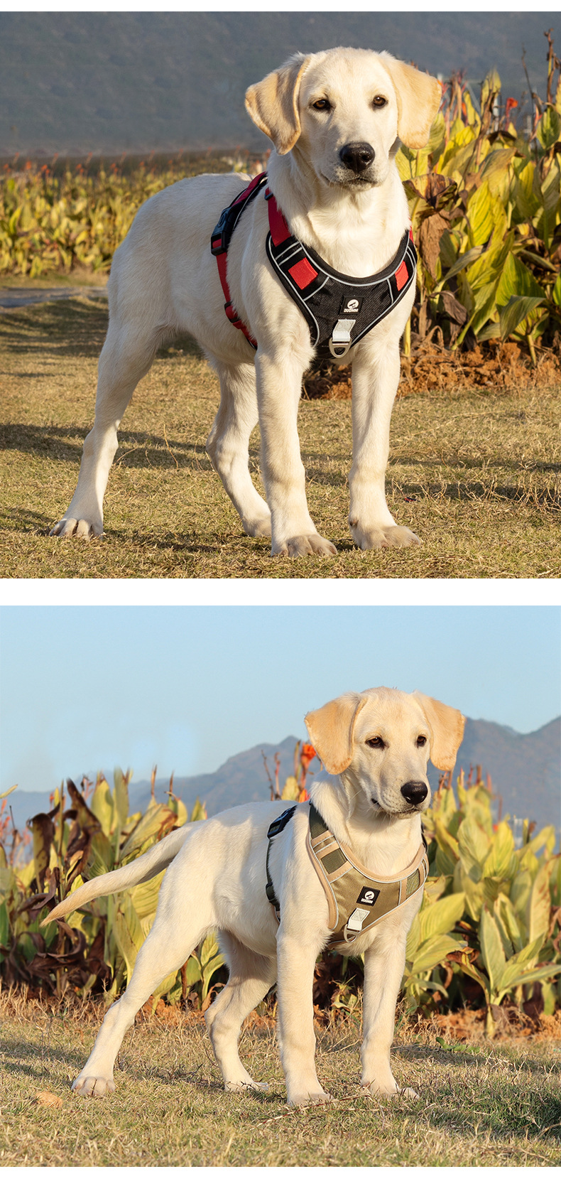 Reflective No-pull Dog Harness And Lead Set For Safety And Comfort_voghion.com