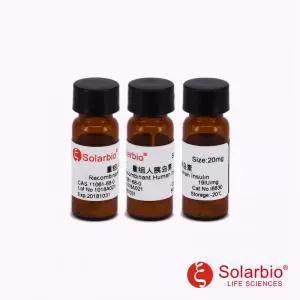 I8830 重组人胰岛素 Recombinant Human Insulin 11061-68-0