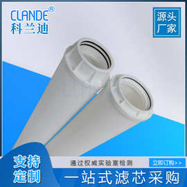 PALL颇尔国产替代大流量折叠保安过滤器滤芯 水滤芯大通量厂家