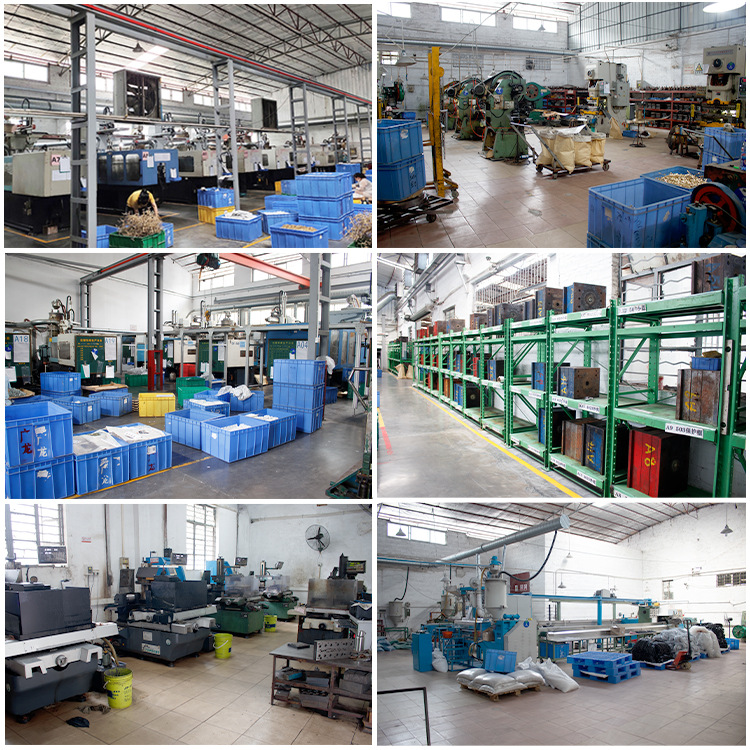 工厂照片-广龙 (2).jpg