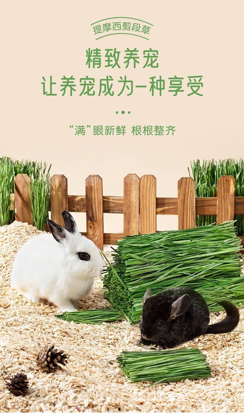 b8090824-a7ef-474b-90bd-a80ea729844c.jpe