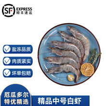 �g�؞���϶ࠖ���r���r �r���}���ش�̖���r���r���r�ͶY�Y�д�