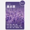 [Lavender] A bottle of essential oil (no machine)