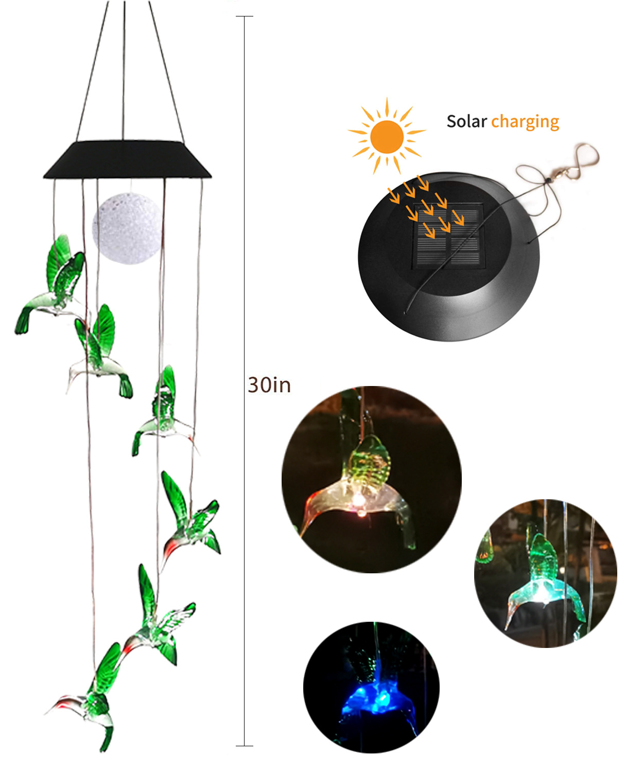 彩绘蜂鸟1 拷贝