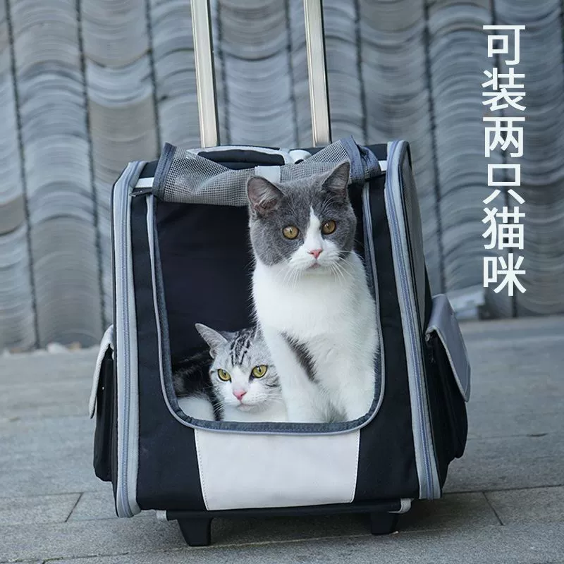 Большой кошачий мешок с двумя плечами большой емкости