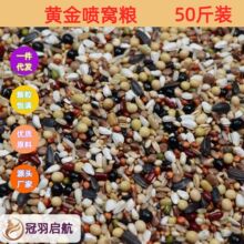 鸟食鸽子粮无玉米喂粮食营养饲料幼鸽信鸽赛鸽肉鸽成鸽包邮