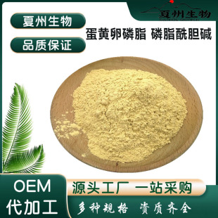 ��֬��đ�| ���S��ȡ�� ��Ҏ�� ��֬��đ�| PC98%/70% ��֬ø