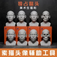 Дополнительные учебные пособия по искусству, череп из гипса, скелет, модель мышц