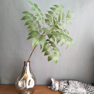 ����ֲ��3D��ӡ�����~�����~�������l�͹�ɫϵ�ҾӘӰ��g�Ƶ��b�