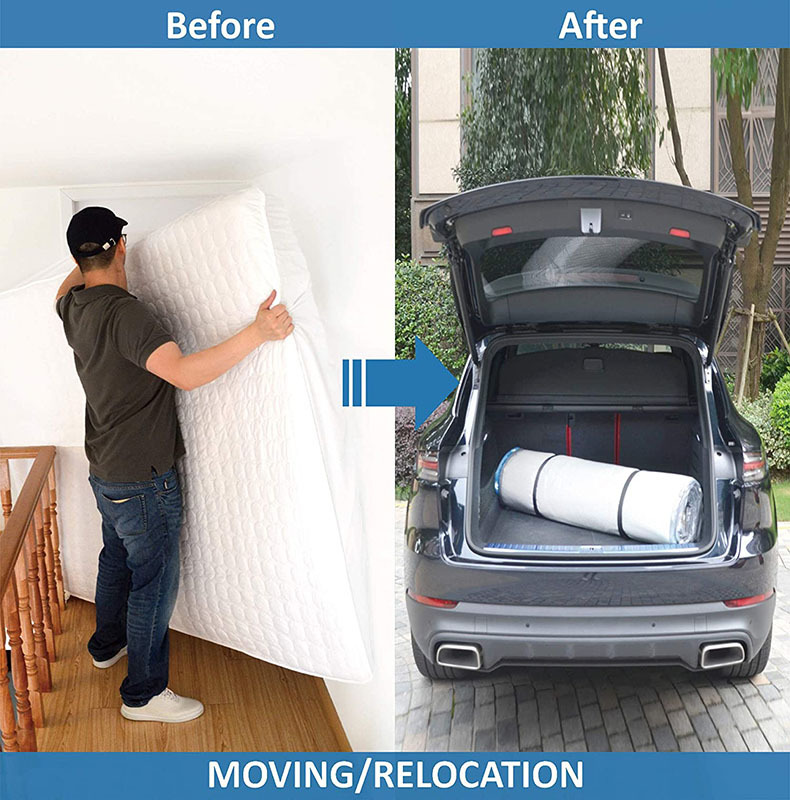 81YGqlEgycL._AC_SL1500_