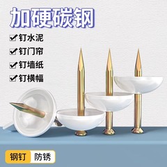 钉水泥墙钢图钉墙纸门帘纱窗广告布kt板横幅固定相框水泥钢钉家用