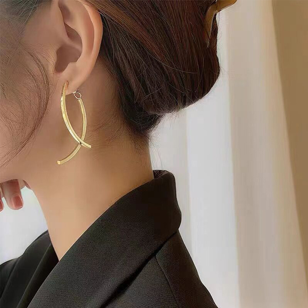Fashion Geometric Stainless Steel Ear Studs Plating Stainless Steel Earrings_colorza_2