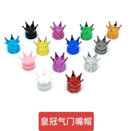 其他汽车外饰;气门嘴;车身及附件