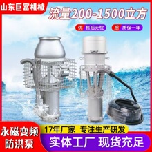 永磁潜水泵应急救援防汛排水排涝变频防洪泵不锈钢高扬程轴流水泵
