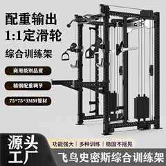 業務用REP総合トレーニングラック、スモールフライングバードスミススクワットラック、ガントレットラック、固定プーリー総合トレーニング器具