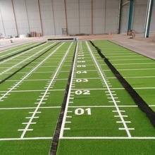 GYM  GRASS  ��������ƺ  �D����ƺ   ѩ����ƺ